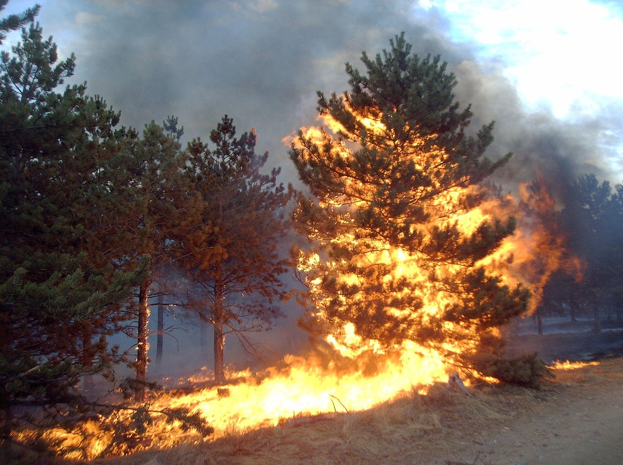 重庆北碚缙云山又起火了？，重庆北碚缙云山再次发生山火？